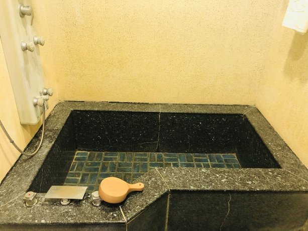 Imagen de la habitación del Hotel Ho Young Hotspring. Foto 15