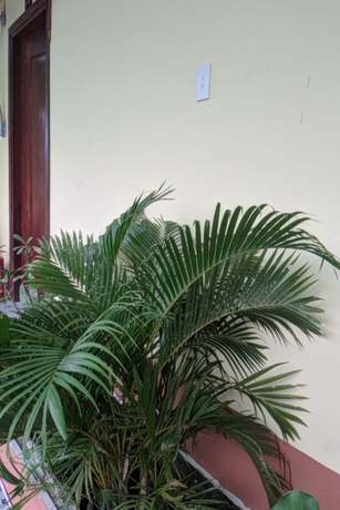Imagen de la habitación del Hotel Hoa Anh Dao Garden. Foto 11