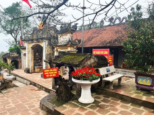 Imagen general del Hotel Hoa Phuong. Foto 13