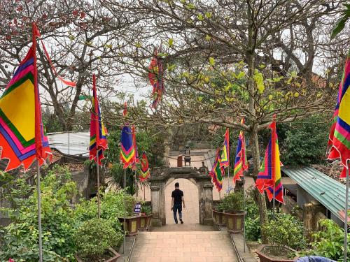 Imagen general del Hotel Hoa Phuong. Foto 17