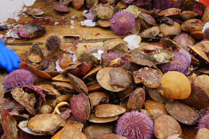 Imagen general del Hotel Hótel Fransiskus Stykkishólmi. Foto 4