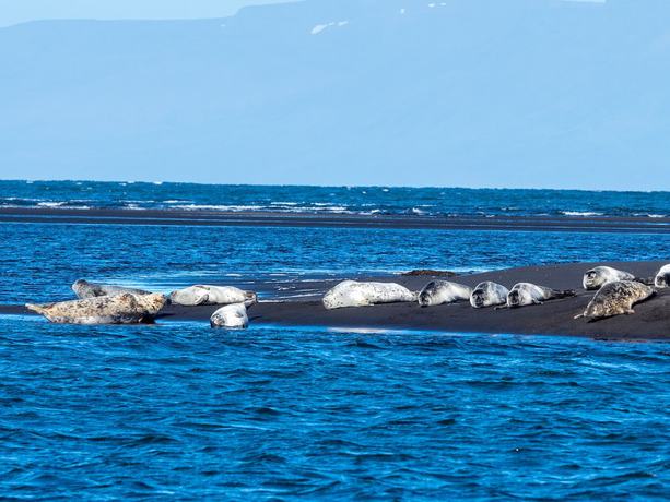 Imagen general del Hotel Hótel Hvítserkur. Foto 4