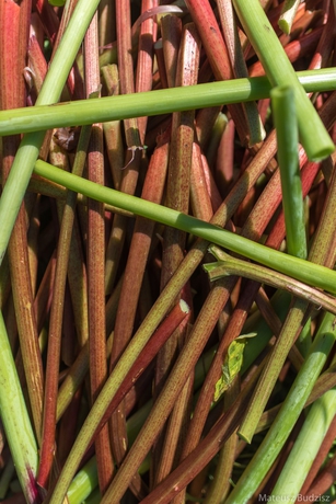 Imagen general del Hotel Hótel Kría. Foto 5