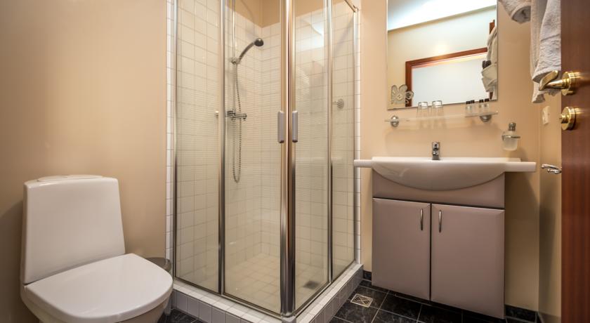 Imagen de los interiores del Hotel Hótel Selið. Foto 7