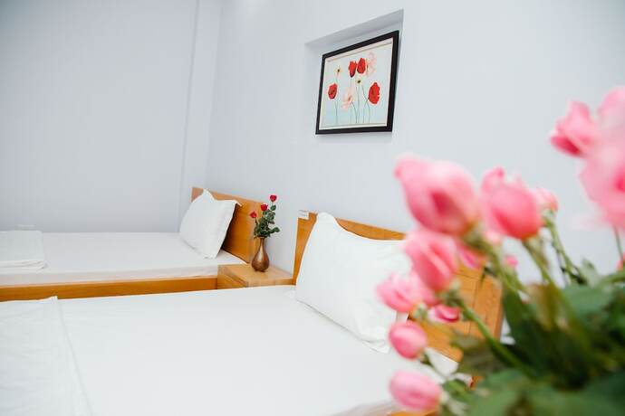 Imagen general del Hotel Hoang Ngan. Foto 11