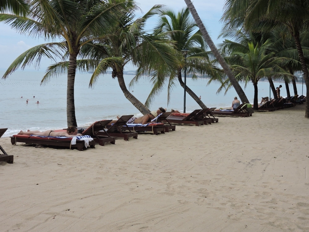 Imagen de los exteriores del Hotel Hoang Ngoc Resort. Foto 9