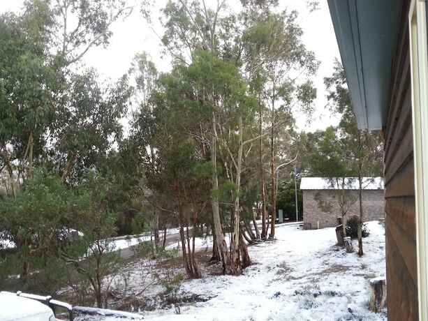 Imagen general del Hotel Hobart Bush Cabins. Foto 6