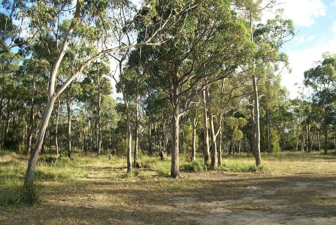 Imagen general del Hotel Hobart Bush Cabins. Foto 12