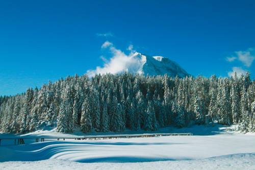 Imagen de la habitación del Hotel Hochland. Foto 6