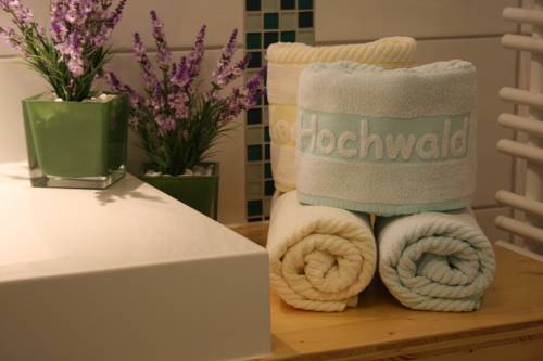 Imagen de la habitación del Hotel Hochwald. Foto 3