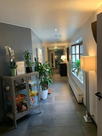 Imagen de los interiores del Hotel Hôtel 1815. Foto 17