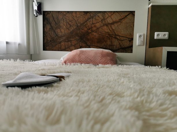 Imagen de la habitación del Hotel H&ocirc;tel Ambassadeur. Foto 7