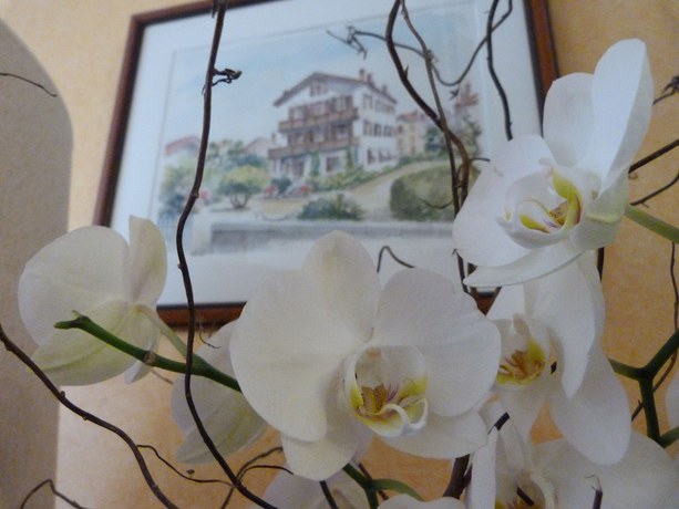 Imagen de los interiores del Hotel H&ocirc;tel Bel Air. Foto 18