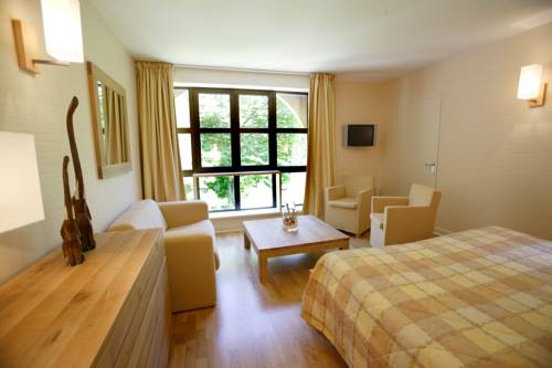 Imagen de la habitación del Hotel H&ocirc;tel De La Muse Et Du Rozier. Foto 12