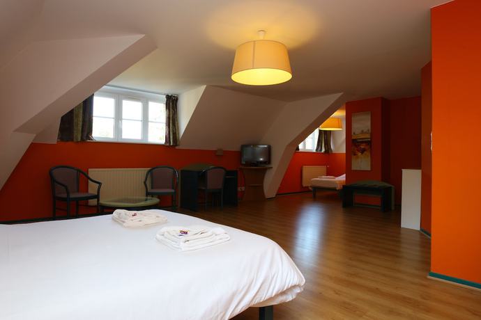 Imagen de la habitación del Hotel H&ocirc;tel Domaine de Volkrange. Foto 11