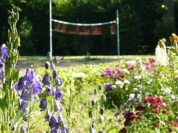 Imagen de la habitación del Hotel H&ocirc;tel Ferme De La Raterie. Foto 4