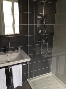 Imagen de la habitación del Hotel H&ocirc;tel Fran&ccedil;ois 1er, SAINT-DIZIER. Foto 11