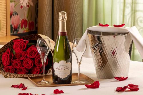 Imagen general del Hotel Hôtel Jardin de Cluny. Foto 10