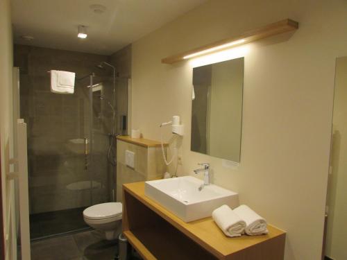 Imagen general del Hotel H&ocirc;tel La M&eacute;tairie. Foto 15