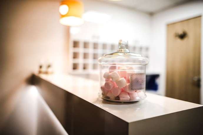 Imagen de los interiores del Hotel H&ocirc;tel Lac Bleu 1650. Foto 16