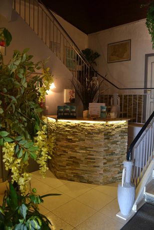 Imagen de los interiores del Hotel H&ocirc;tel Le Dauphin Bleu. Foto 20