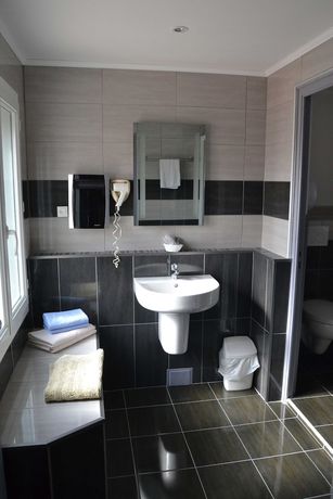 Imagen de la habitación del Hotel H&ocirc;tel Le Dauphin Bleu. Foto 14