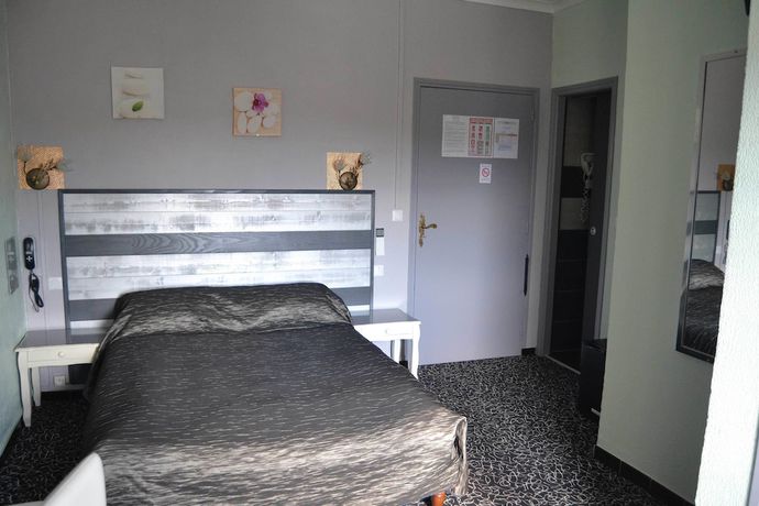 Imagen de la habitación del Hotel H&ocirc;tel Le Dauphin Bleu. Foto 18