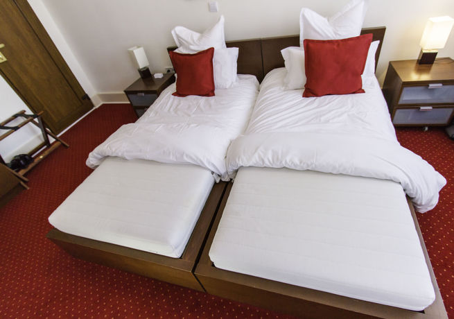 Imagen de la habitación del Hotel Hôtel Le Divona. Foto 5