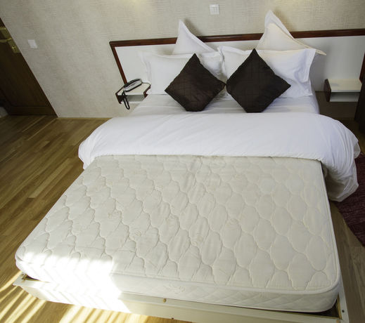 Imagen de la habitación del Hotel Hôtel Le Divona. Foto 8