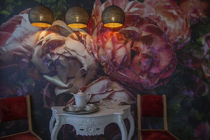 Imagen general del Hotel Hôtel Le Grand Barnum. Foto 6