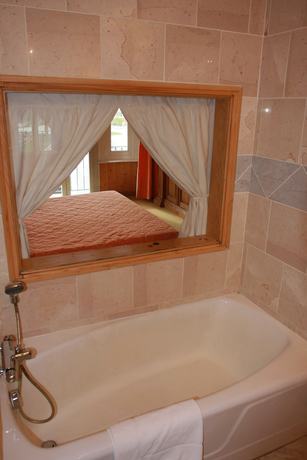 Imagen de la habitación del Hotel H&ocirc;tel Le Lac, Le V&eacute;zenay. Foto 14