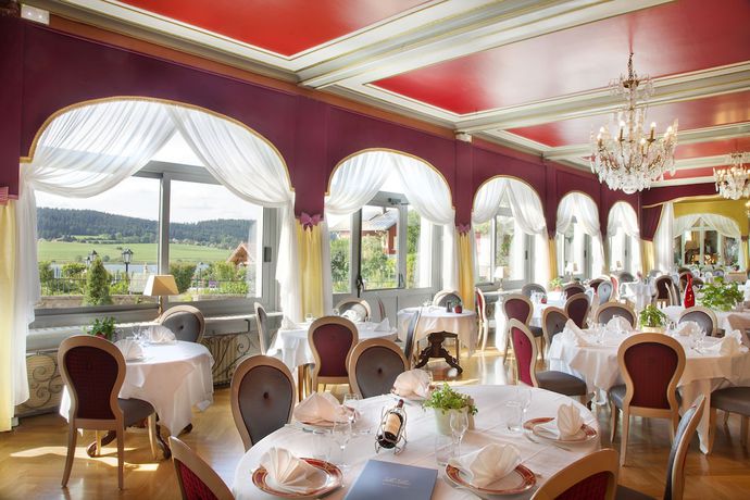 Imagen del bar/restaurante del Hotel H&ocirc;tel Le Lac, Le V&eacute;zenay. Foto 7