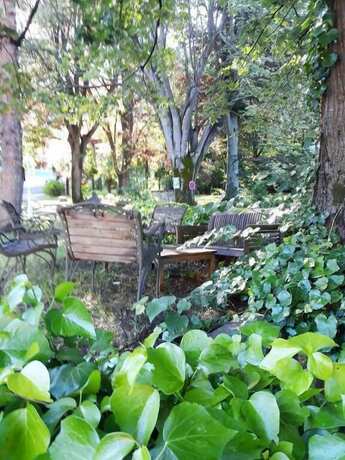 Imagen general del Hotel H&ocirc;tel Le Mas Fleuri. Foto 3