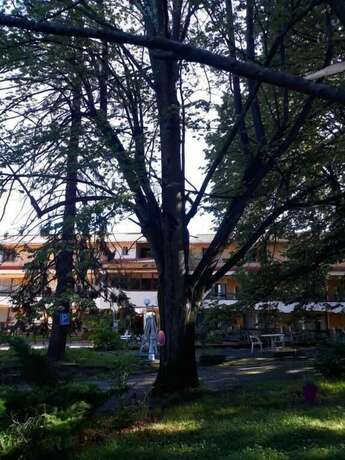 Imagen general del Hotel H&ocirc;tel Le Mas Fleuri. Foto 10