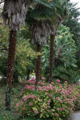 Imagen general del Hotel H&ocirc;tel Le Mas Fleuri. Foto 13