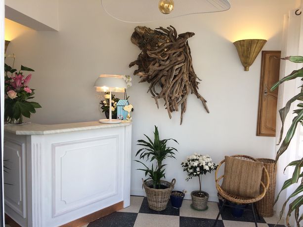 Imagen de los interiores del Hotel H&ocirc;tel Le Neptune en Camargue. Foto 20