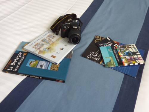 Imagen de la habitación del Hotel Hôtel Le Rohan. Foto 7