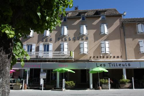 Imagen general del Hotel H&ocirc;tel Les Tilleuls de Pareloup &agrave; Salles-Curan. Foto 3