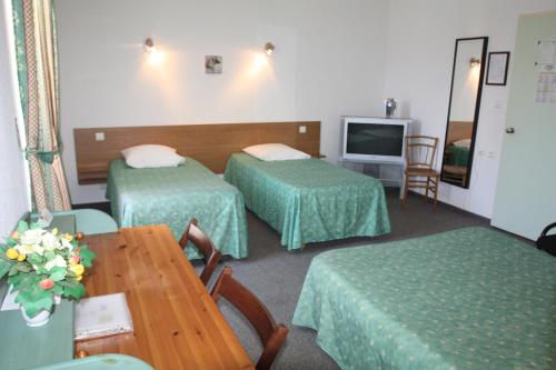 Imagen general del Hotel H&ocirc;tel Les Tilleuls de Pareloup &agrave; Salles-Curan. Foto 5