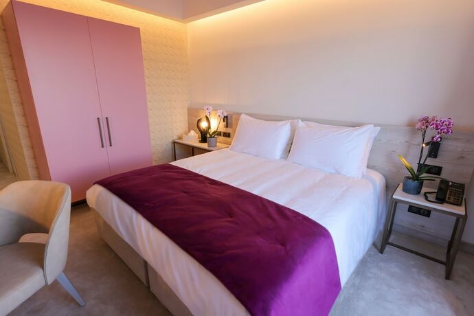 Imagen general del Hotel Hôtel Maria Die. Foto 8