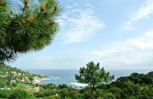 Imagen de la habitación del Hotel H&ocirc;tel R&eacute;sidence San Pieru. Foto 9