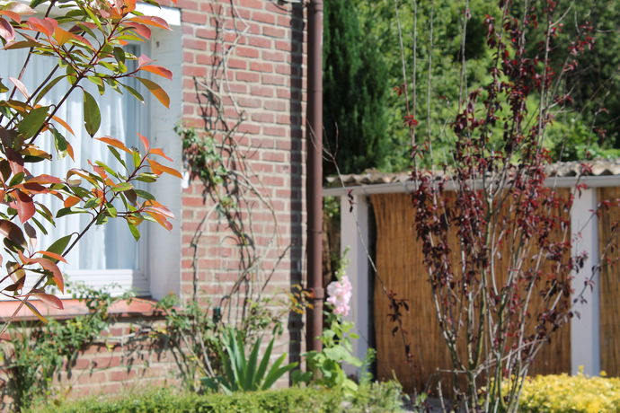 Imagen de la habitación del Hotel Hôtel - Restaurant Le Clos Des Cèdres. Foto 12