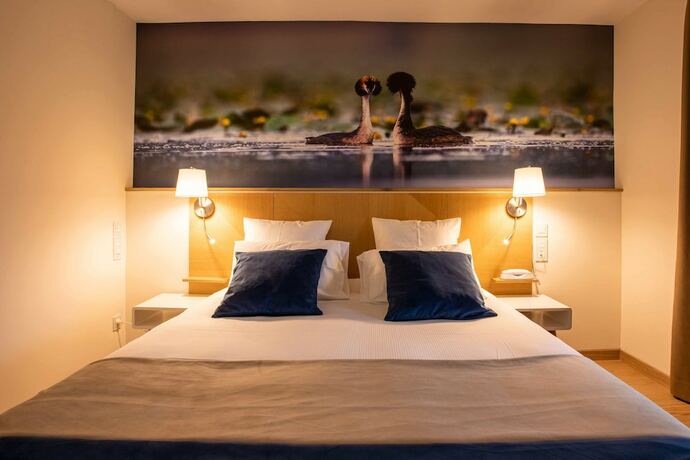 Imagen de la habitación del Hotel Hôtel Restaurant Spa la Maison Tatin. Foto 14