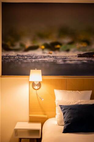 Imagen general del Hotel Hôtel Restaurant Spa la Maison Tatin. Foto 11