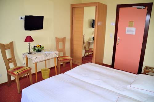Imagen de la habitación del Hotel H&ocirc;tel Roess. Foto 11