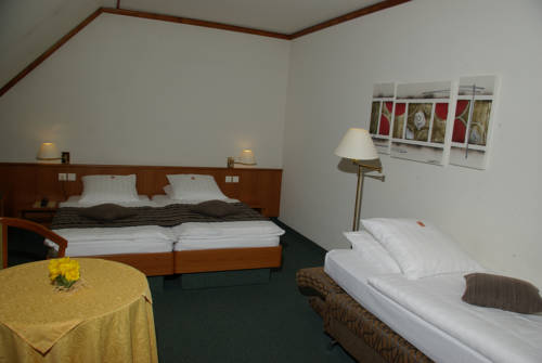 Imagen general del Hotel Hôtel Saint Hubert - Colmar Sud. Foto 1