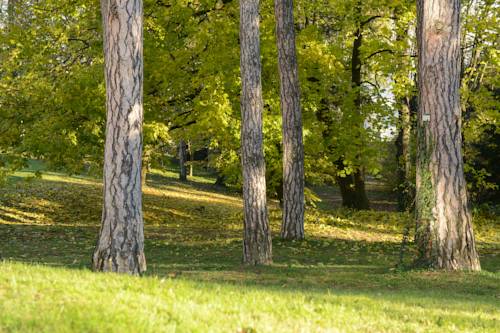Imagen de la habitación del Hotel Hôtel Valpré. Foto 9