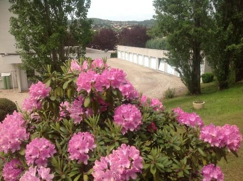 Imagen general del Hotel H&ocirc;tel Vulcain. Foto 5