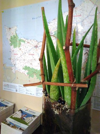 Imagen de los interiores del Hotel Hôtel des Quatrans. Foto 20