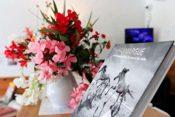 Imagen de los interiores del Hotel H&ocirc;tel les Rizi&egrave;res. Foto 19